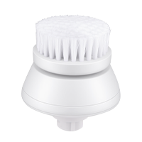Hibig_Exfoliation_Brush